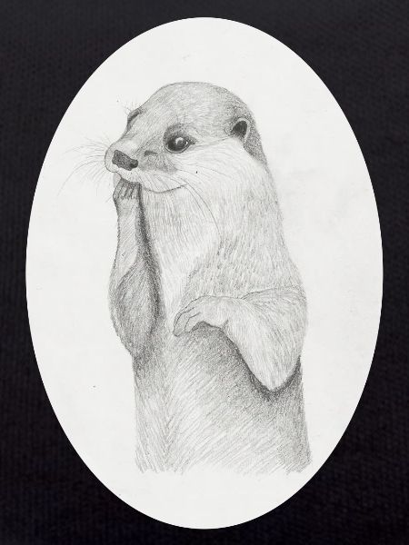 Otter Oval