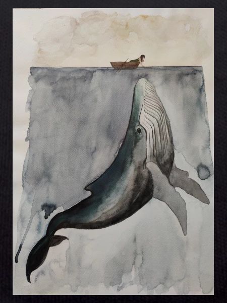 Whale Encounter