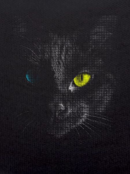 Chat noir
