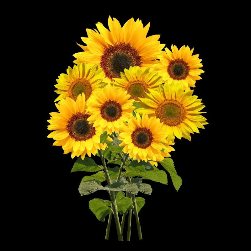Sonnenblumenstrauß