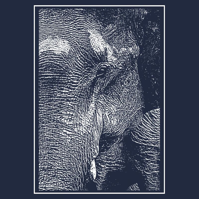 Weißer Elefant