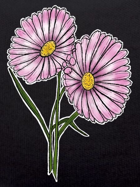 Daisy