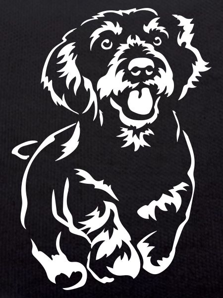 Dachshund "Black Edition"