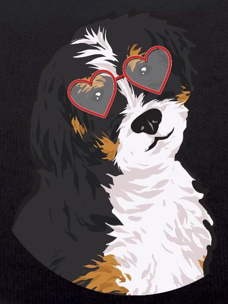 Chien Bernedoodle