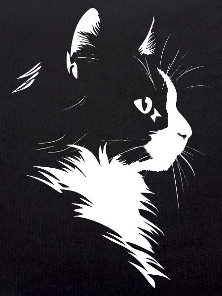 Chat, Motif De Chat