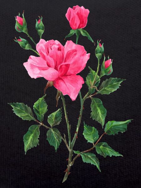 Blume