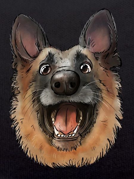 Sheepdog