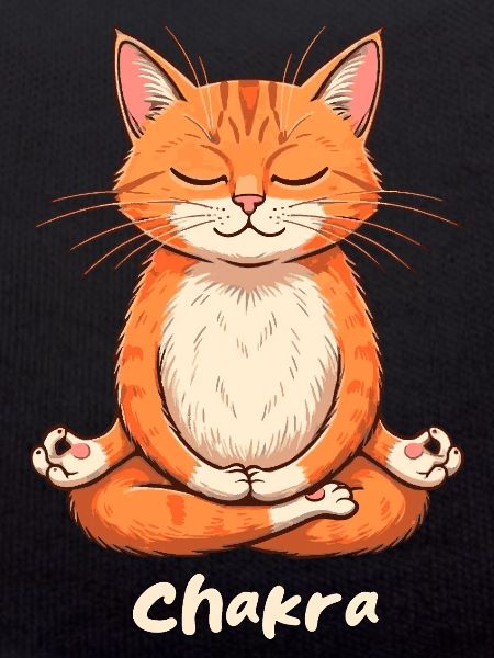 Chakra