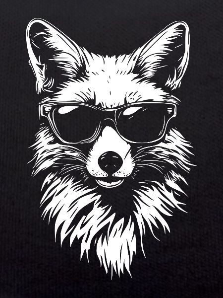 Cool Fox Sunglasses Summer