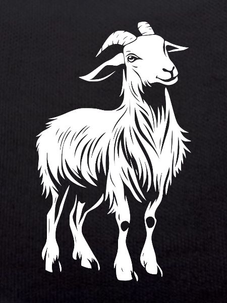 Ziege Goat