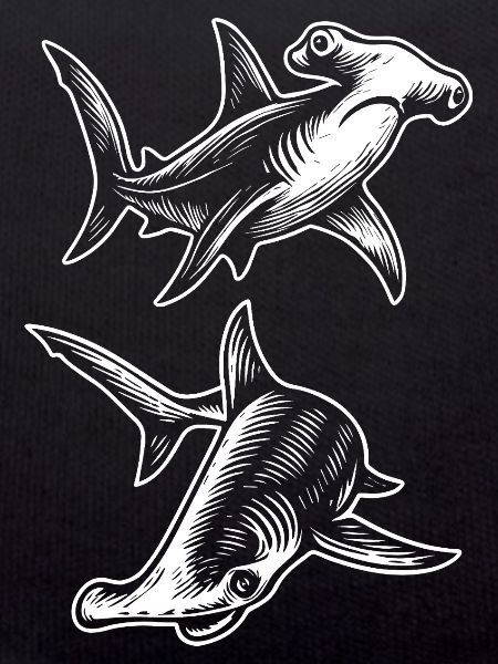 Cadeau requin marteau