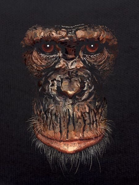 Singe