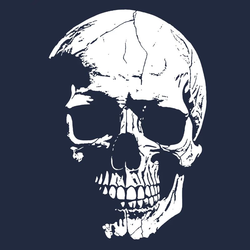 Skull High-Contrast Graphics