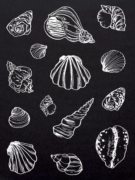 MOULES