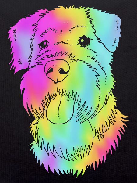 Wheaten Terrier