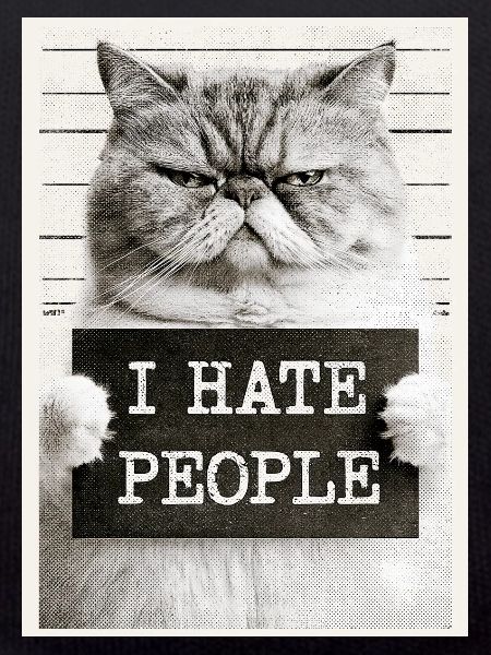 GrimmigerKater I HATE PEOPLE