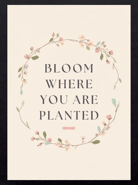 Bloom Where You Are Planted Spruch
