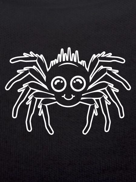 Spider spiders animals