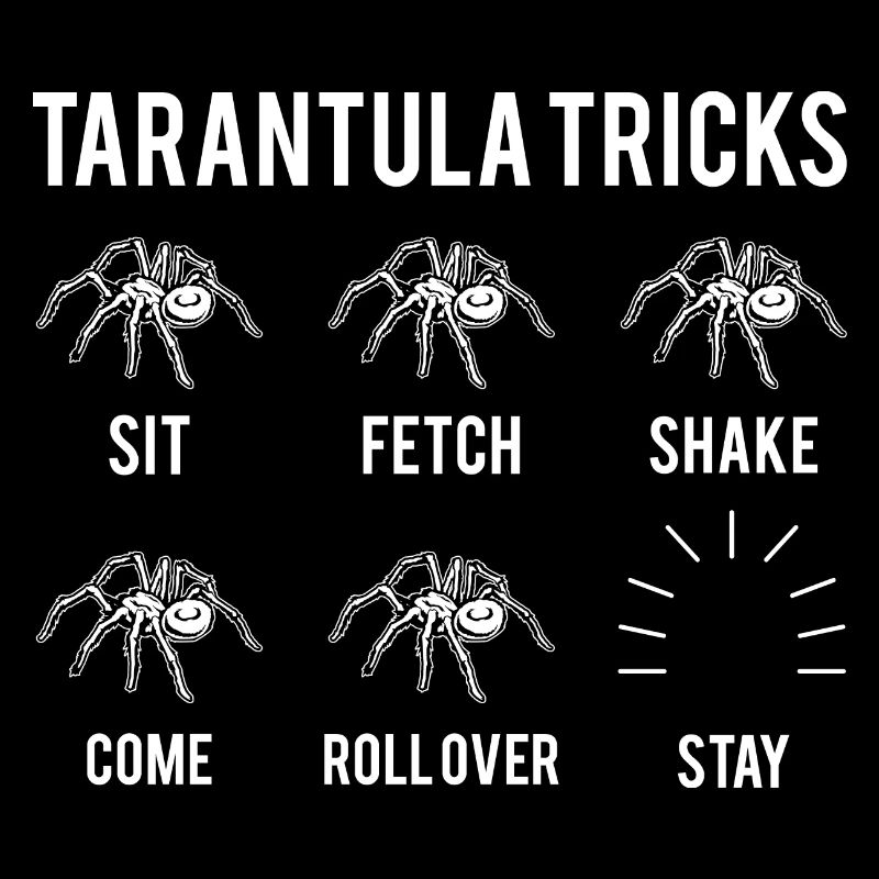 Pet Tarantula Arthropod Arachnid Spider Gift