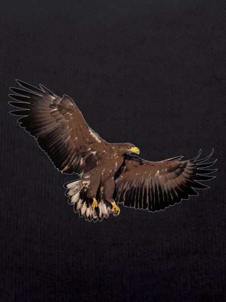 Adler later