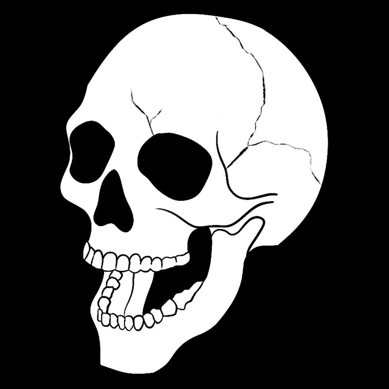 SKULL SKULL SKELETON SKULL DEAD GRAVE HALLOWEEN