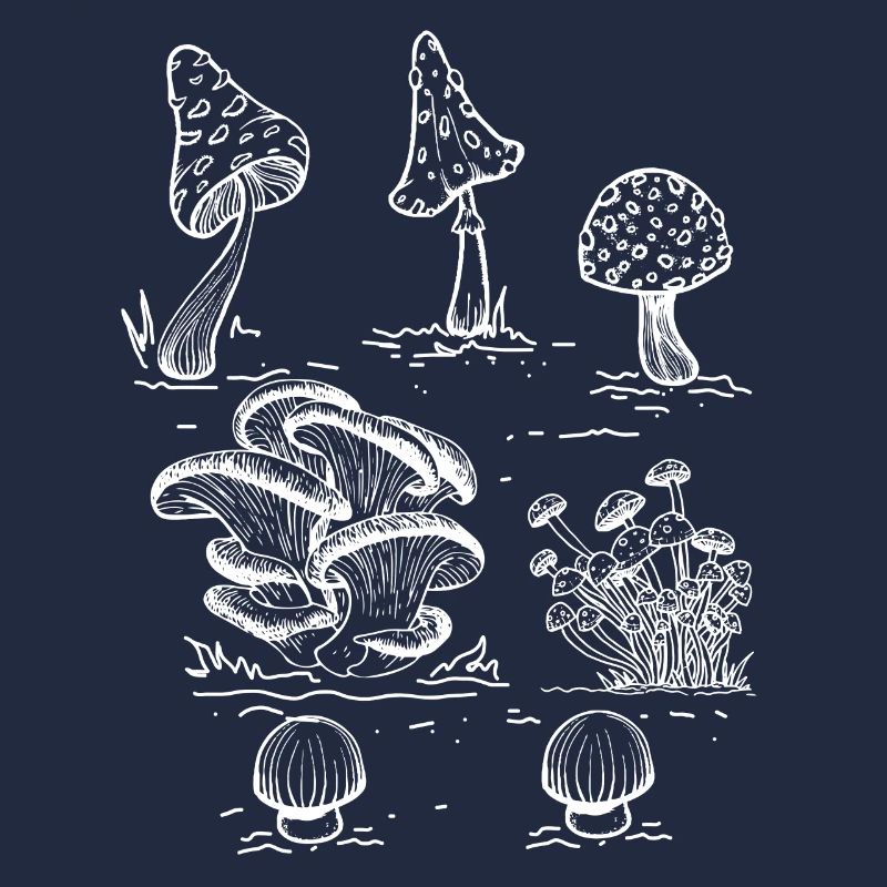 Crystals, Mushrooms Black Magic & Witches