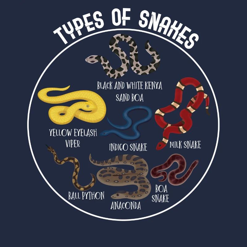 Types de serpents, Serpent, Types de serpents, Cobra