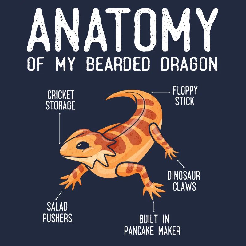 Anatomie Eines Bärtigen Drachen