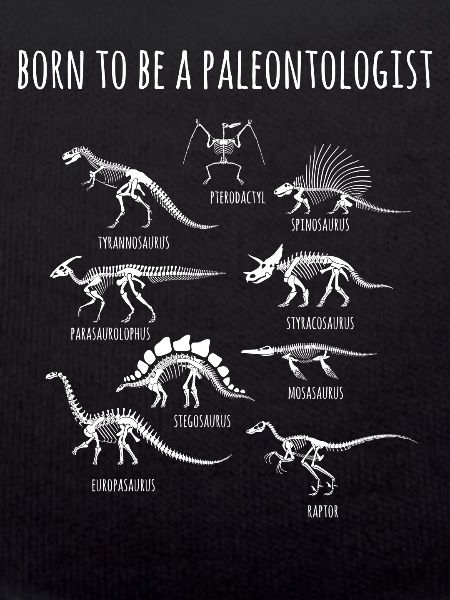 Paleontologist, Dinosaur, Dinosaur