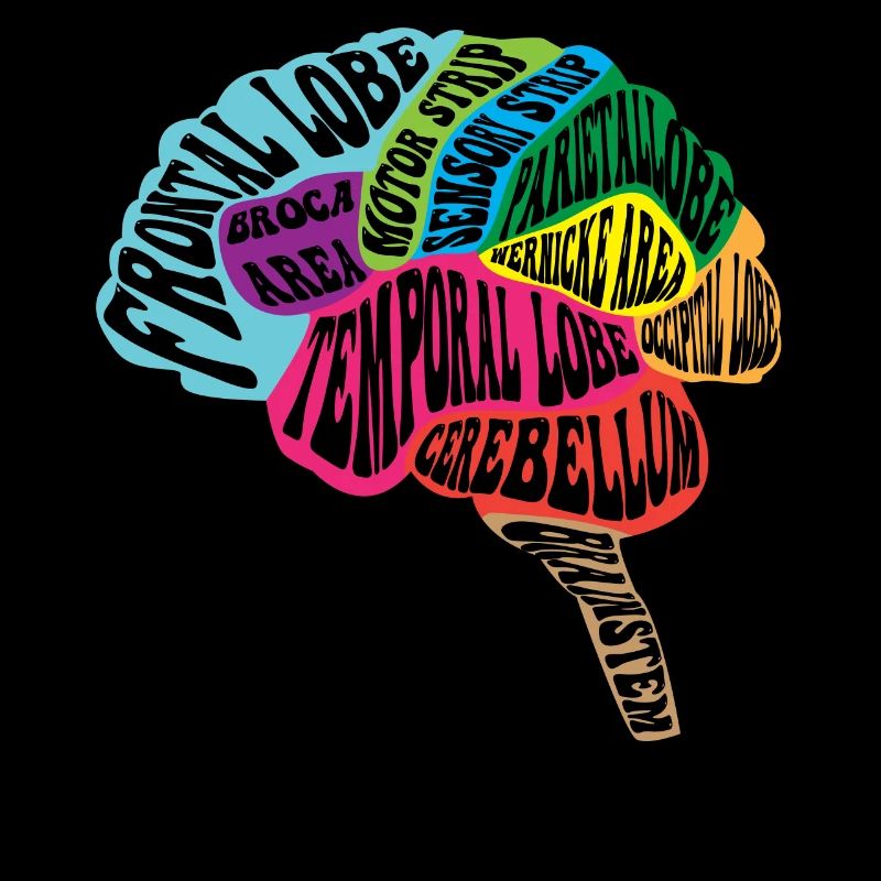 Carte du cerveau du neurologue