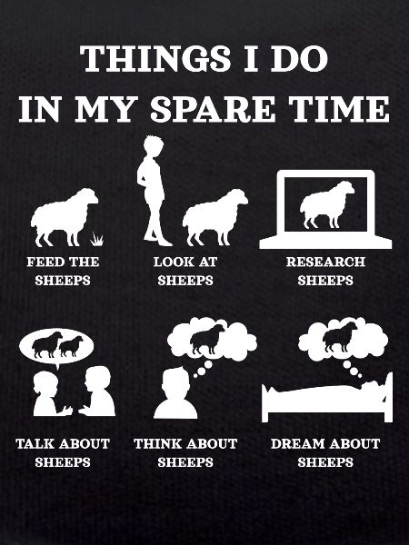 Sheep, sheep lovers, sheep