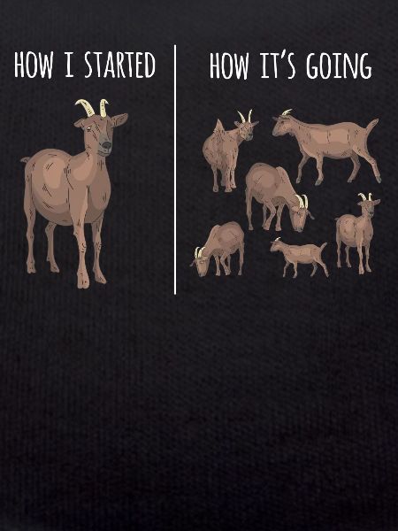Goat, goats, goat lovers