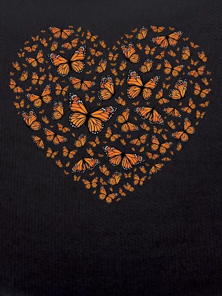 Monarch butterfly
