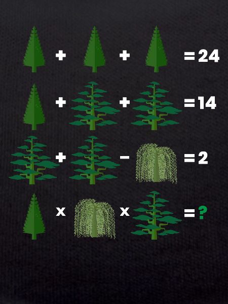 Math Teacher Equation