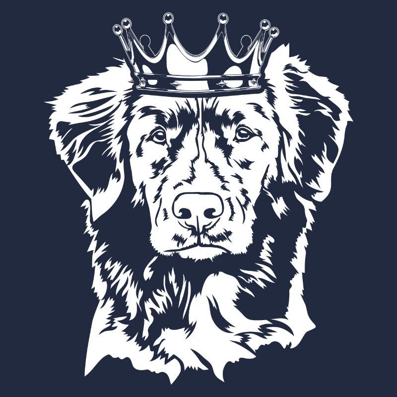 Retriever à péage de canard de la Nouvelle-Écosse Krone Wilsigns