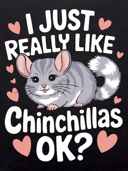 Chinchilla Chinchillas Mouse