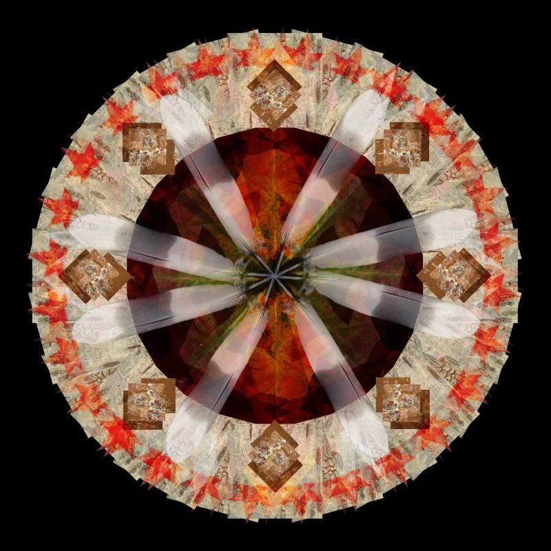 Mandala Amérique du Nord