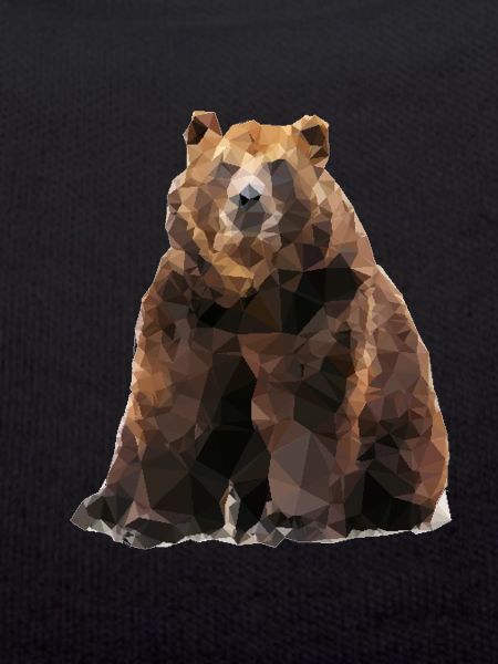 Geometric brown bear