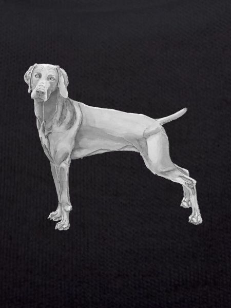 Weimaraner