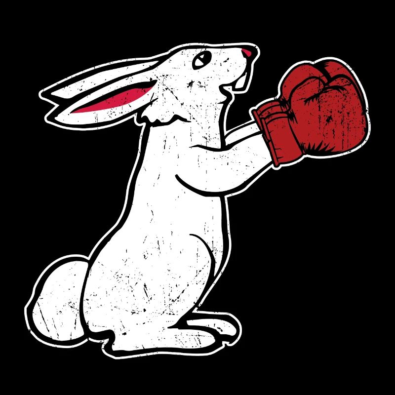 Coffrets cadeaux gants de boxe boxe vintage lapin