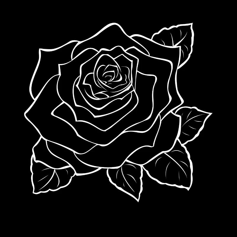 Große weiße Rose