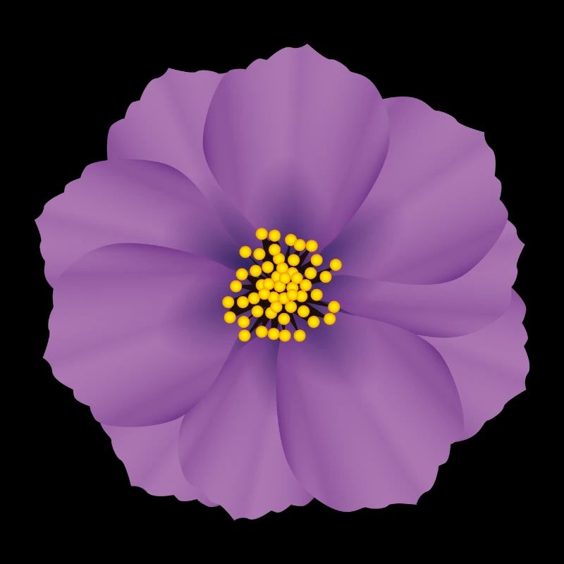 Farbenfrohe Blüte Veilchen