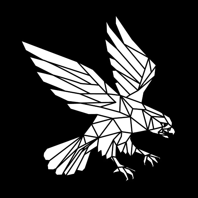 Eagle who is in a dive!