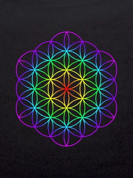 Fleur de vie 4