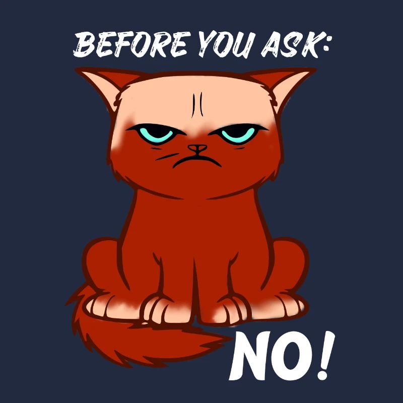Angry Cat Dites Non, Idée Cadeau génial