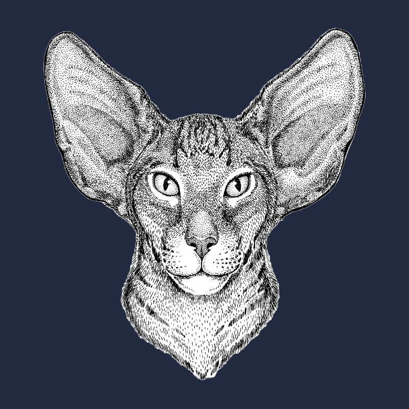 Katze