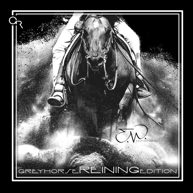 Greyhorse Reining Edition avec EM Photography