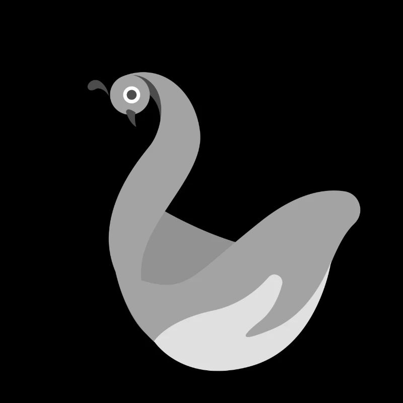 swan