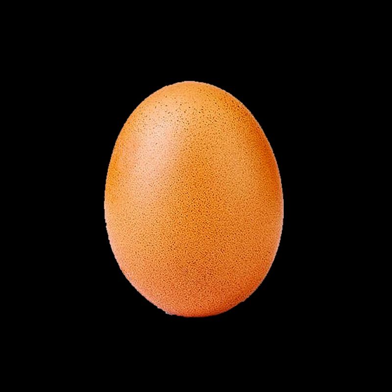 oeuf