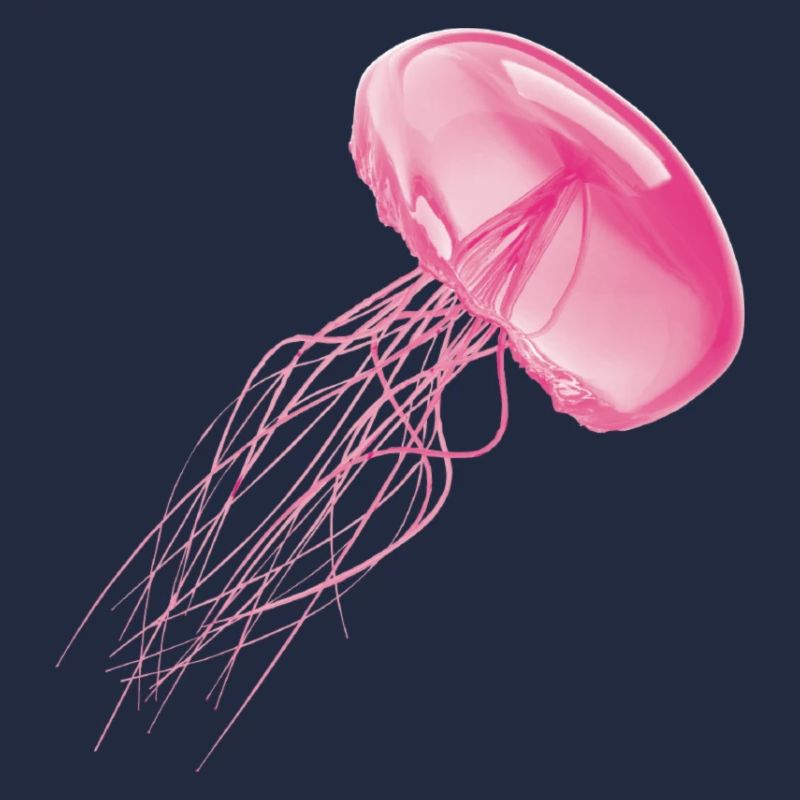 jellyfish